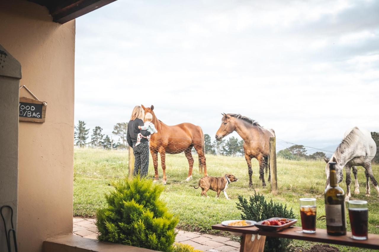 Fernhill Guest Farm Villa Knysna Exterior photo