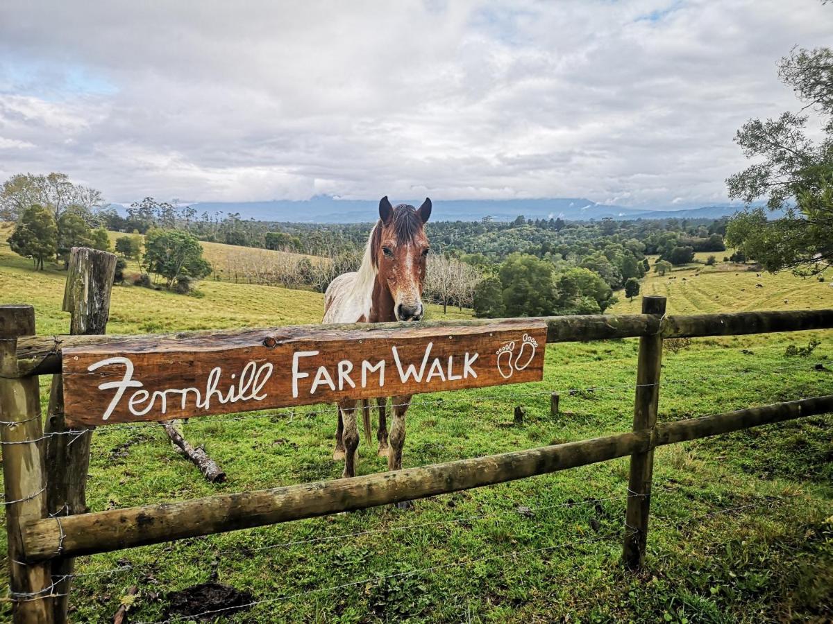 Fernhill Guest Farm Villa Knysna Exterior photo