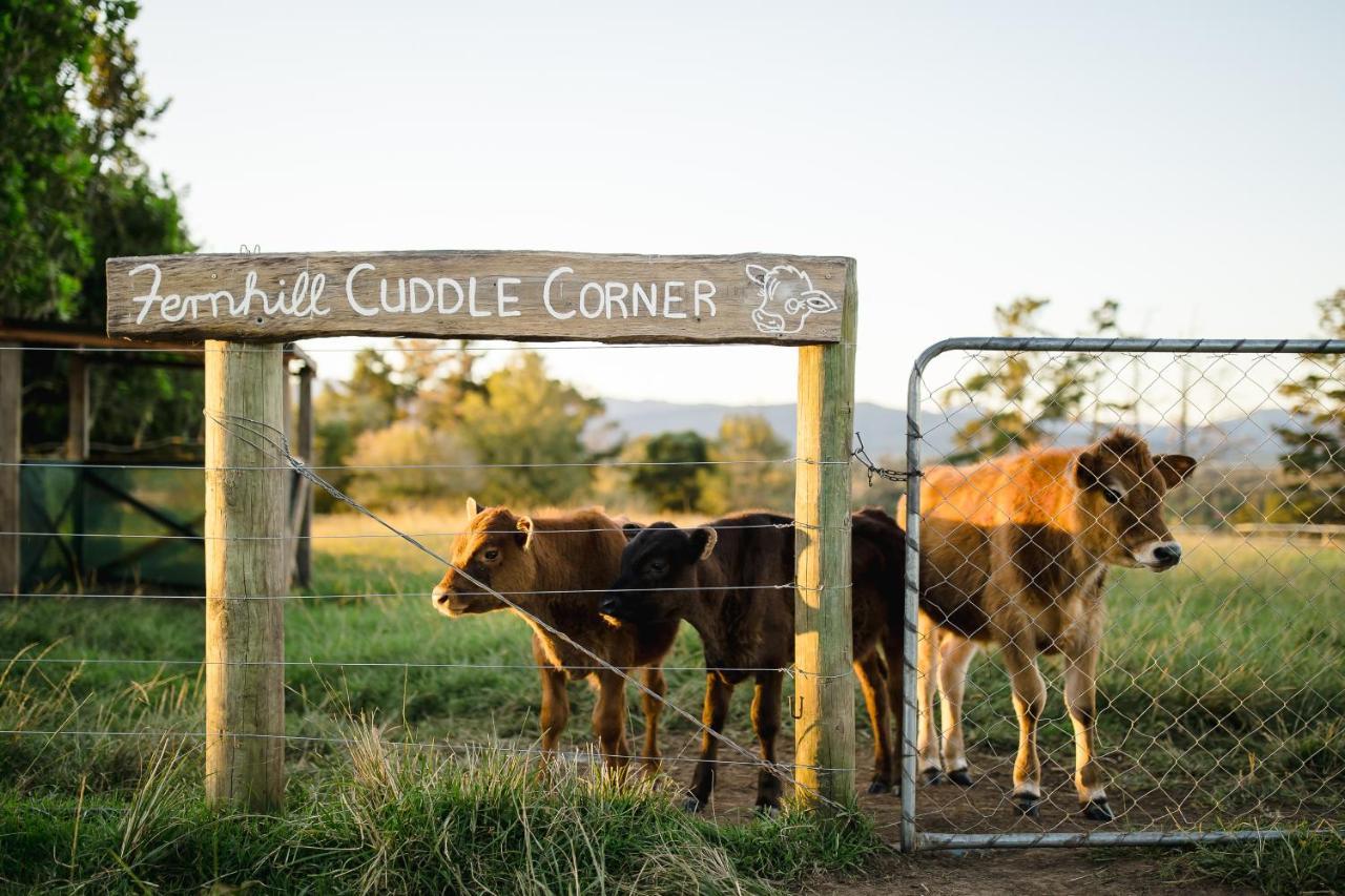 Fernhill Guest Farm Villa Knysna Exterior photo