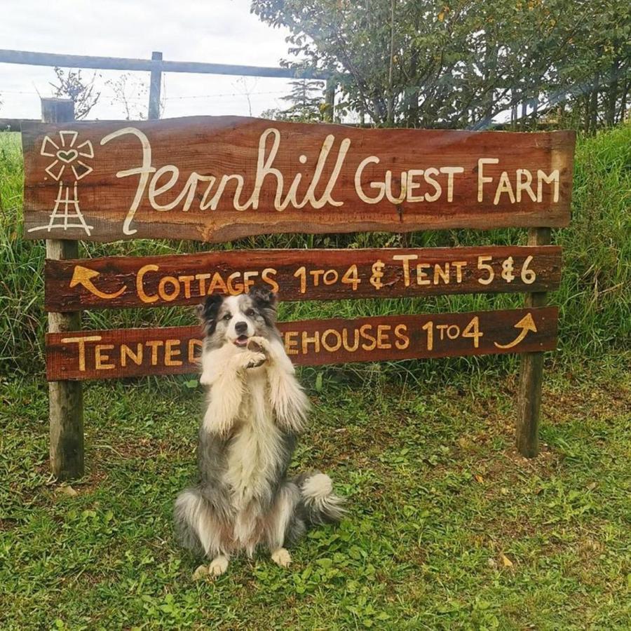 Fernhill Guest Farm Villa Knysna Exterior photo